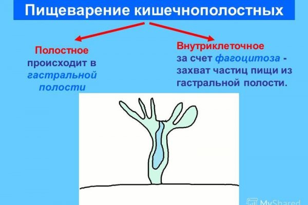 Кракен даркнет маркет ссылка сайт